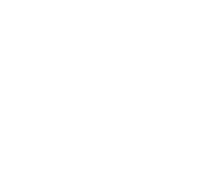 Flowers-white