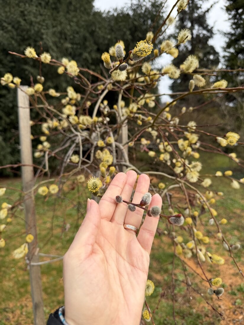 Bahniatka: Ako sa Slováci pripravujú na Veľkú noc