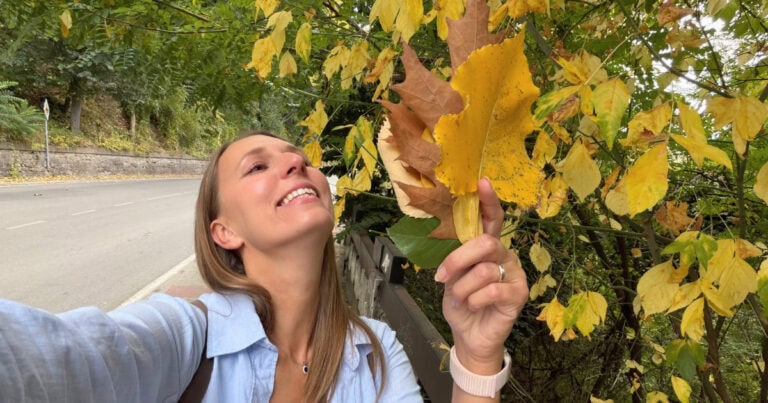 Blog-babie leto po slovensky
